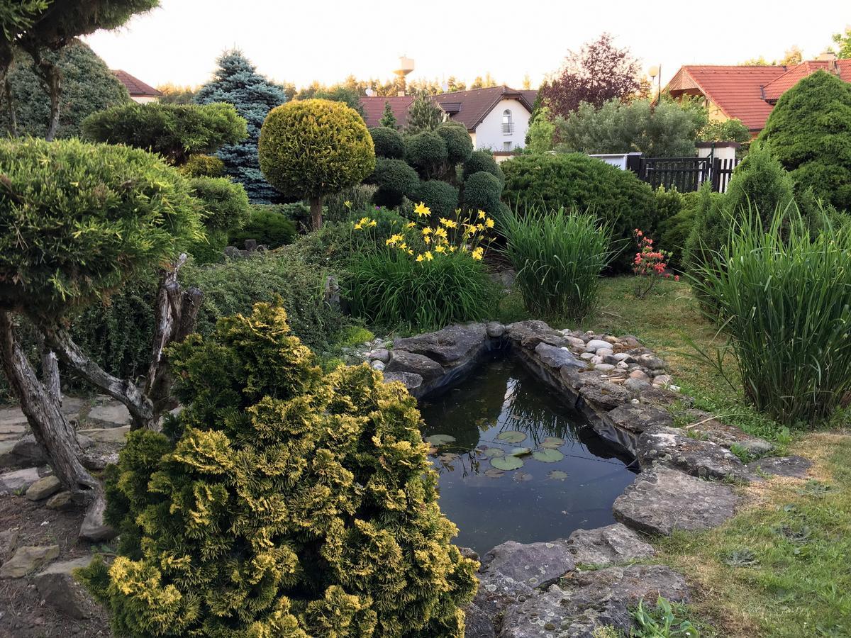 Vila Verunka Plzeň Exteriér fotografie
